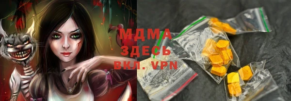 молекула духа Богданович