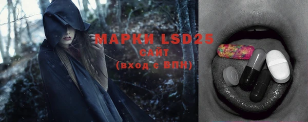индика Балабаново