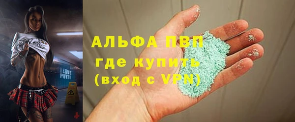 молекула духа Богданович