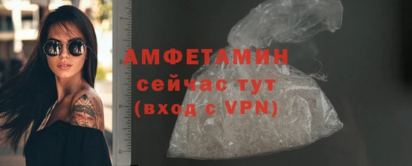 молекула духа Богданович