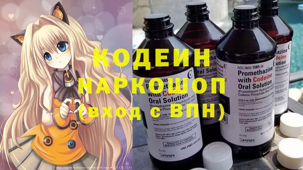 молекула духа Богданович
