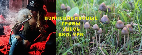 молекула духа Богданович