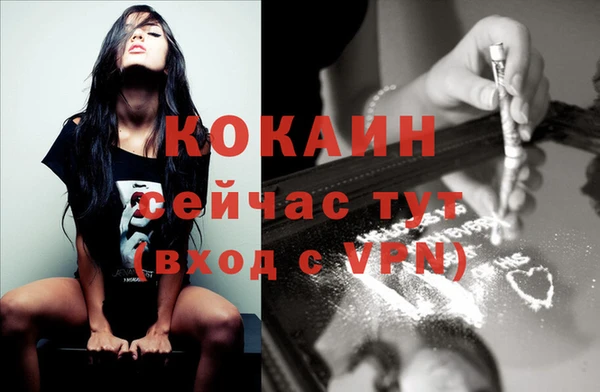 молекула духа Богданович