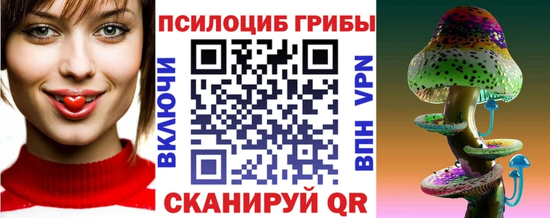 наркошоп  Дигора  Галлюциногенные грибы Psilocybine cubensis 
